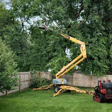 Best Firewood Processing and Delivery  in Syracuse, NY