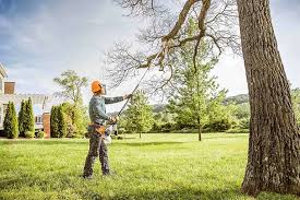 Best Lawn Dethatching  in Syracuse, NY