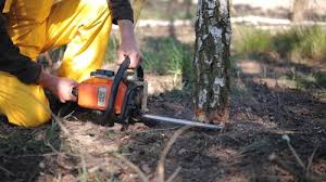 Best Lawn Grading and Leveling  in Syracuse, NY